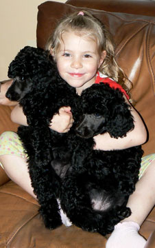 Amelia and puppies